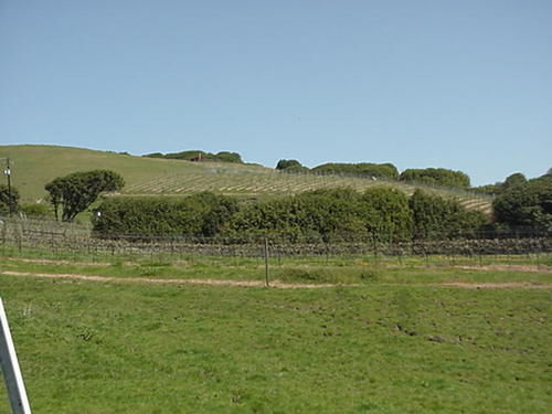 Point Reyes Vineyard Inn Thành phố California Ngoại thất bức ảnh