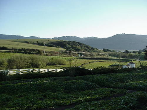 Point Reyes Vineyard Inn Thành phố California Ngoại thất bức ảnh