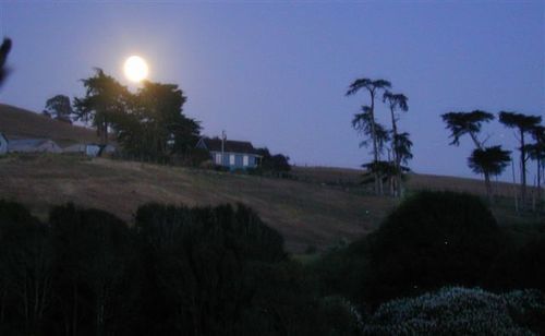 Point Reyes Vineyard Inn Thành phố California Ngoại thất bức ảnh