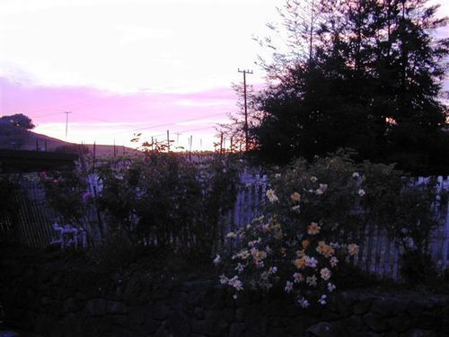Point Reyes Vineyard Inn Thành phố California Ngoại thất bức ảnh