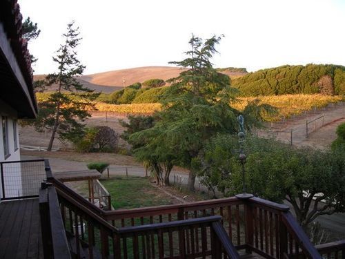 Point Reyes Vineyard Inn Thành phố California Ngoại thất bức ảnh