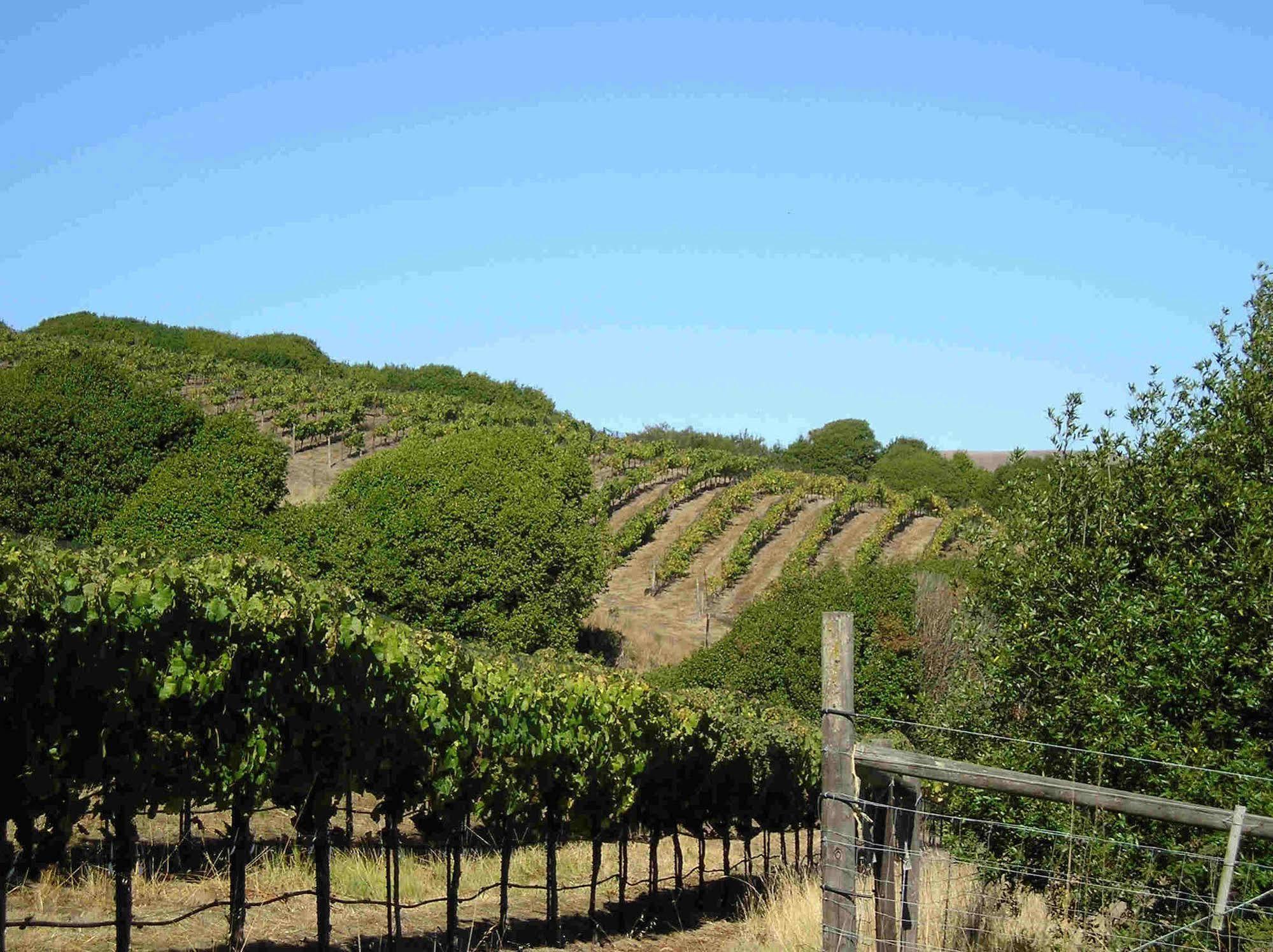 Point Reyes Vineyard Inn Thành phố California Ngoại thất bức ảnh